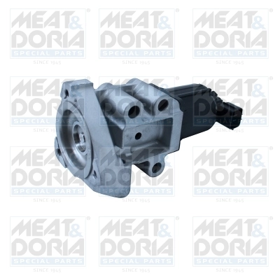 EGR Valve